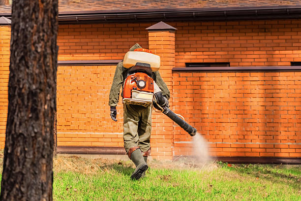Trusted Termite Control service in De Witt, NY - Nex Pest Control